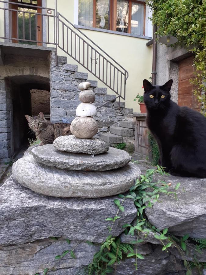Tana Del Paradiso Baceno Buitenkant foto
